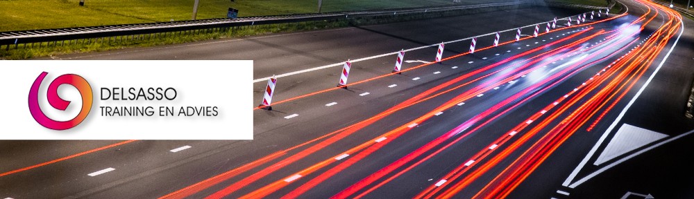 Delsasso Training en Advies